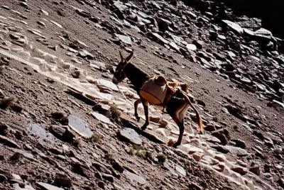 Illustration trucked - Image 1