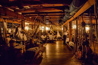 Illustration orlop - Image 1