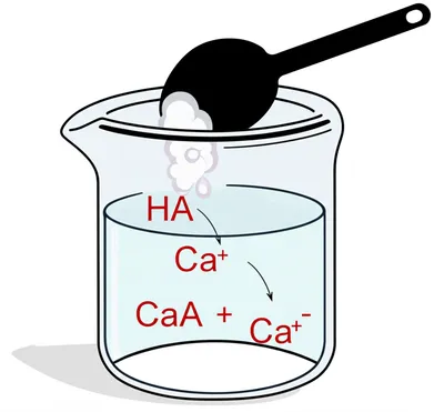 Illustration lime - Image 1