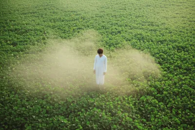 Illustration predisposed