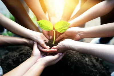 Illustration empowers - Image 1