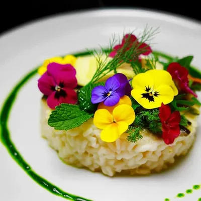 Illustration garnishes - Image 1