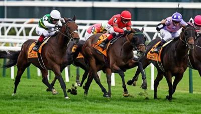 Illustration maiden - Image 1