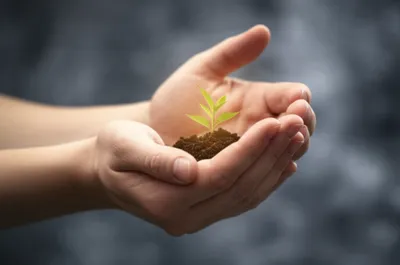 Illustration enfolding - Image 1