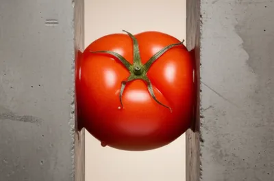 Illustration smashed - Image 1