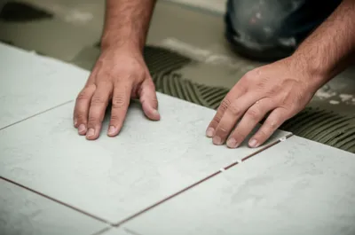 Illustration laid - Image 1