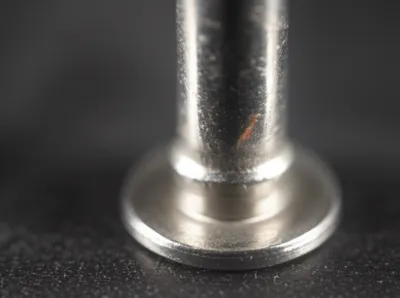 Illustration burs - Image 1