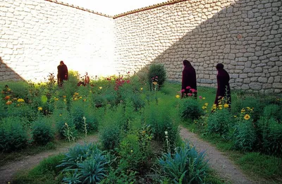 Illustration cloister - Image 1