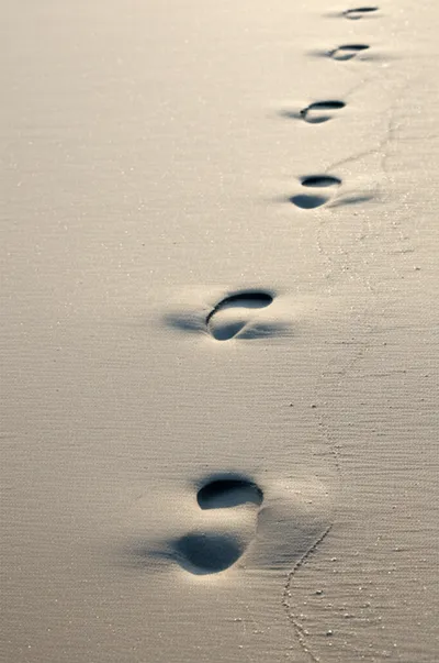 Illustration indentations - Image 2