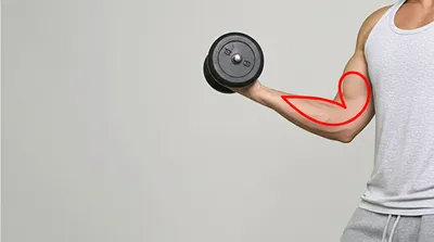 Illustration rep - Image 1