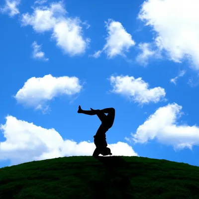 Illustration inversion - Image 1