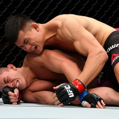 Hình ảnh minh họa submits - Ảnh 1