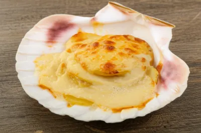 Illustration scalloped - Image 1