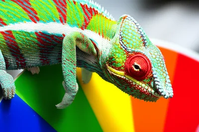 Illustration how - Image 1