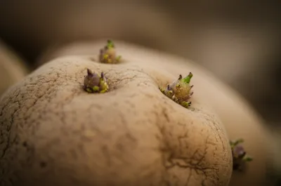 Illustration eyes - Image 1