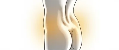 Illustration loins - Image 1