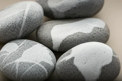 Illustration magpie - Image 1