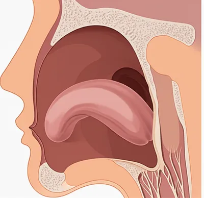 Illustration narrowest - Image 1