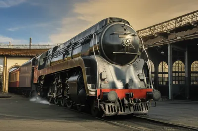 Illustration shedding - Image 1