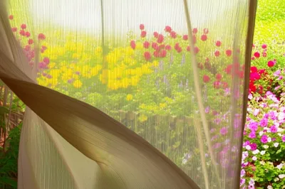 Illustration viewable - Image 1