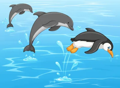 Hình ảnh minh họa porpoised