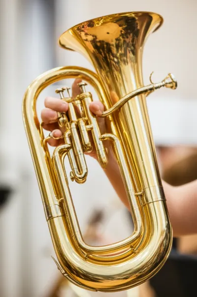 Illustration saxhorn - Image 1