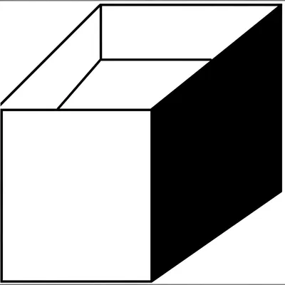 Illustration wall - Image 1