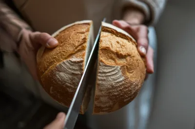 Illustration shared - Image 1