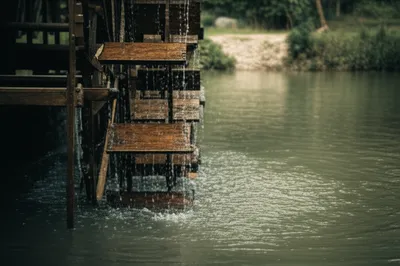 Illustration paddle - Image 1