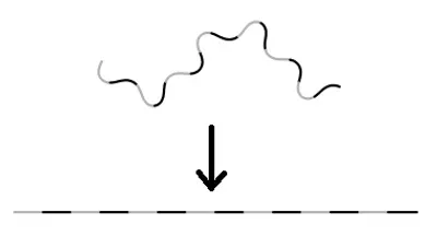 Illustration rectify - Image 2