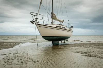 Illustration bottomed - Image 1