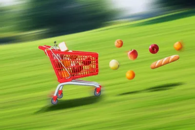 Illustration careens - Image 1