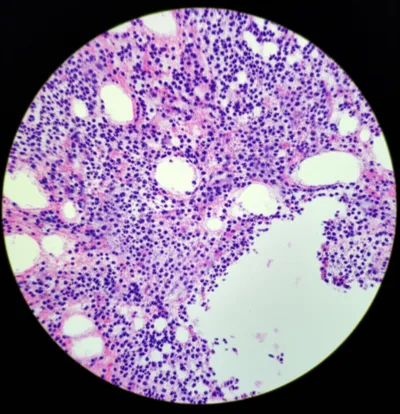 Illustration path - Image 1