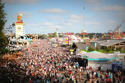 Illustration fess - Image 2