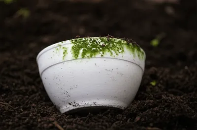 Illustration moulded - Image 1