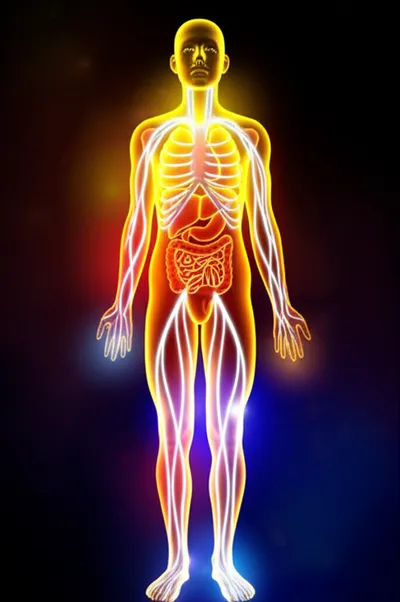 Illustration systemic - Image 1