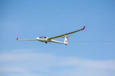 Illustration crab - Image 1