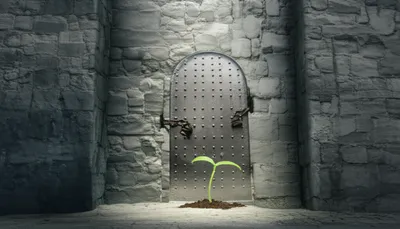 Illustration guarded - Image 1