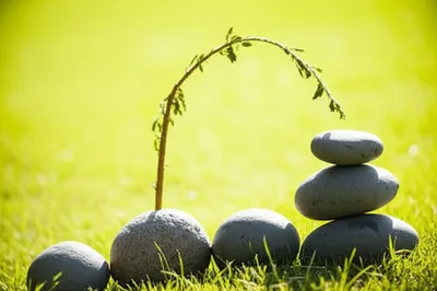 Illustration heavies - Image 1