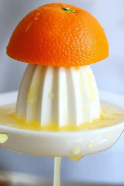 Illustration juicer - Image 2