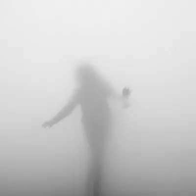 Illustration blinding - Image 1