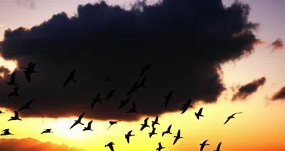 Illustration flights - Image 1