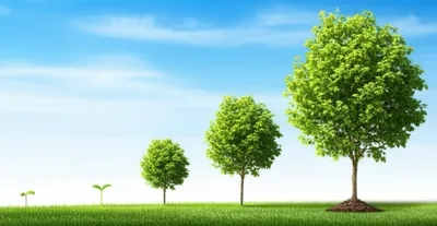 Illustration sizes - Image 1