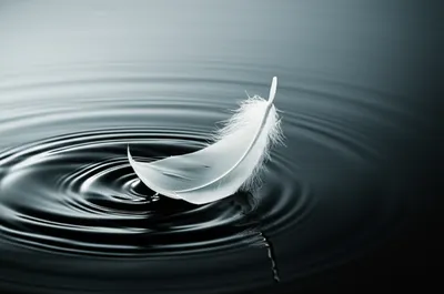 Illustration piano - Image 1