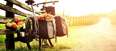 Illustration pannier - Image 1