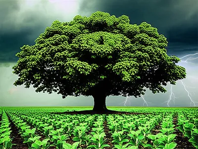 Illustration protector - Image 1