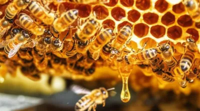 Illustration buzzers - Image 1