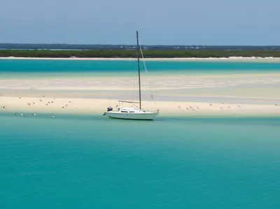 Illustration shoals - Image 1