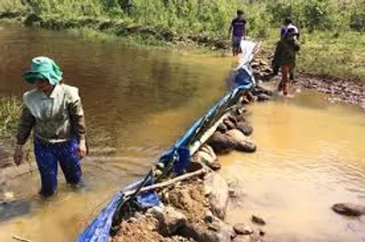 Illustration stem - Image 3