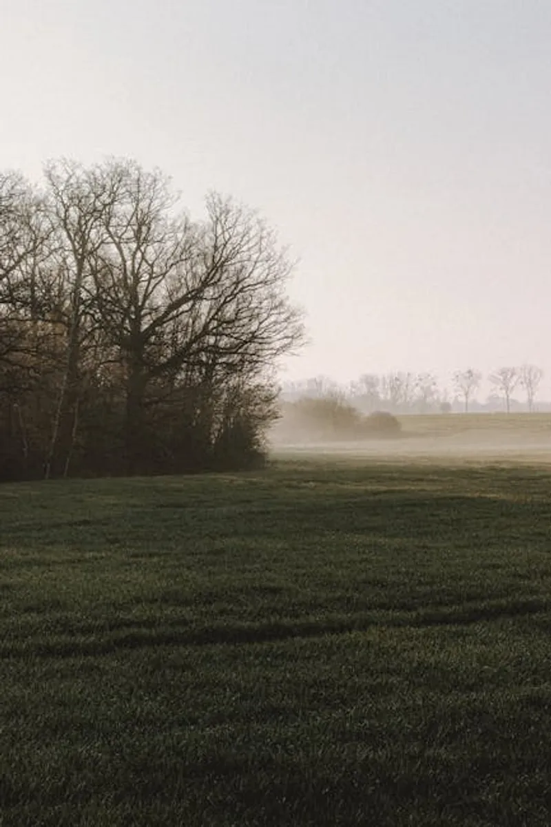 Visuelle Illustration von brume: Nebel, Dunst - Bild 2